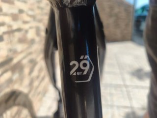 Bicicleta de Montaña