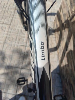 Bicicleta de Montaña