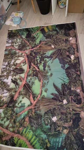 Fondo fotográfico selva