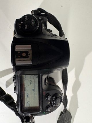 Nikon D300S