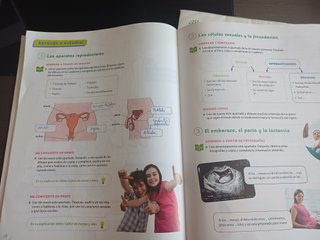 Ciencias de la Naturaleza, 6 Primaria, Construyend