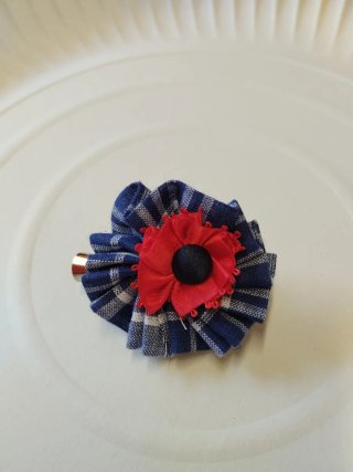 Pinza pelo blanco, azul y rojo