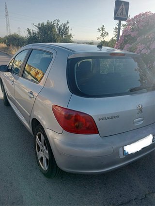 Peugeot 307 2004