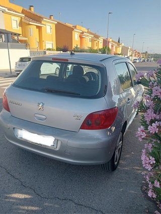 Peugeot 307 2004