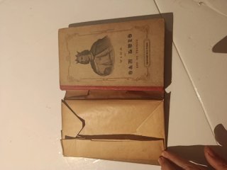 Libro San Luis Rey de Francia