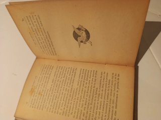 Libro San Luis Rey de Francia
