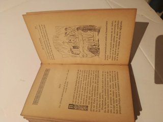 Libro San Luis Rey de Francia