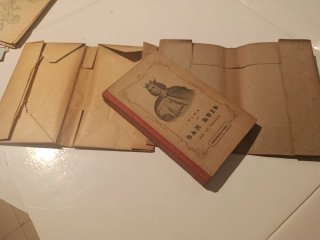Libro San Luis Rey de Francia