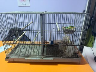 Jaula para cría de  pájaros, con separador, nido