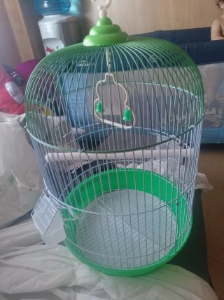 Jaula para pájaros verde y blanca