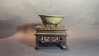 Maceta bonsai