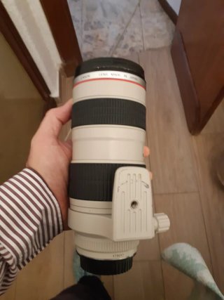 Canon EF 70-200mm f/2.8 L USM