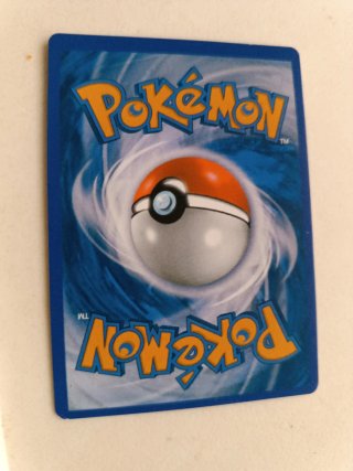 Carta Pokémon Rayquaza VMAX 111/203