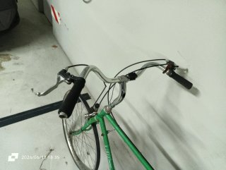 Bicicleta Clásica BH Verde con Alforjas