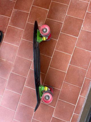 Skate Penny Negro Rastafari