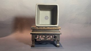 Maceta bonsai