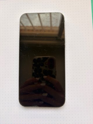 iPhone 13 Pro Max 128GB Argento