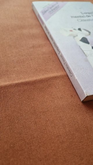 L'Equilibri mental de l'infant