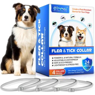 4 Collari collari per cani