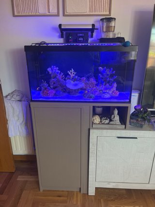 Acuario Marino Completo