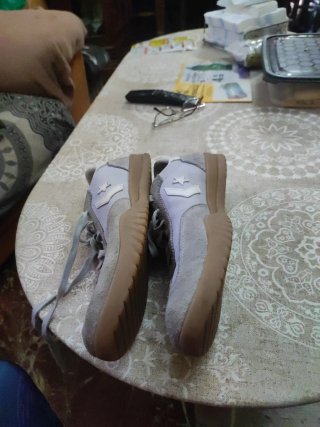 Converse All Star Grises