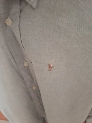 Camisa Polo Ralph Lauren Azul
