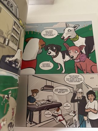 Pipper y la misteriosa orden secreta