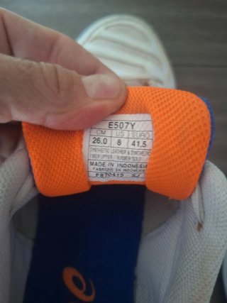 Deportivas Asics Gel Dedicate Tenis