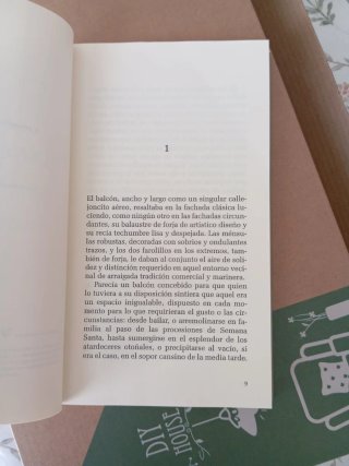 Pájaros sin cielo