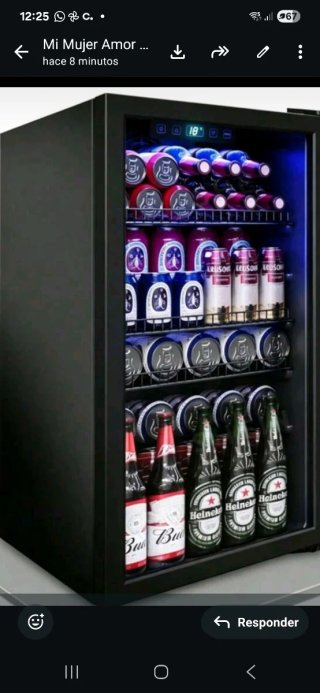 Mini nevera para bebidas