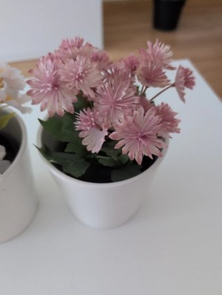Plantas artificiales con maceteros blancos