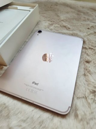 iPad mini 6 64GB Oro Rosa Wi-Fi + Cellular