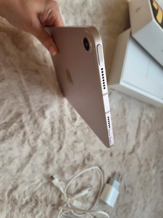 iPad mini 6 64GB Oro Rosa Wi-Fi + Cellular