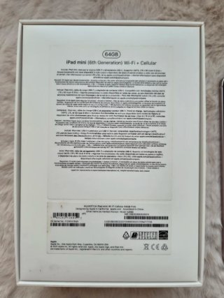 iPad mini 6 64GB Oro Rosa Wi-Fi + Cellular
