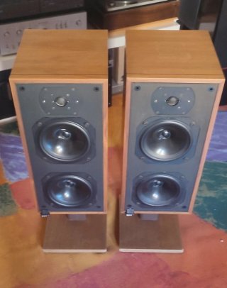 Altavoces Bowers & Wilkins DM 14