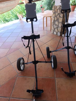 Carro de golf Inesis