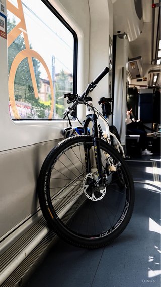Bicicleta BMC 29 Talla L