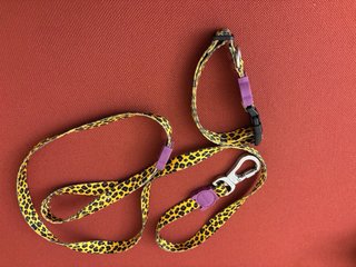 Set guinzaglio e collare Zee.Dog leopardato