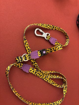 Set guinzaglio e collare Zee.Dog leopardato