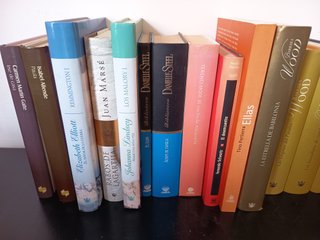 Lote 21 libros femeninos / románticos