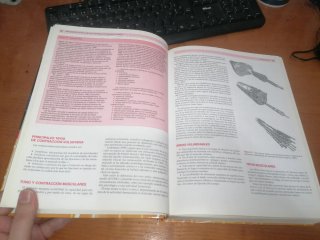 APLICACIÓN CLÍNICA  TÉCNICAS NEUROMUSCULARES T-1