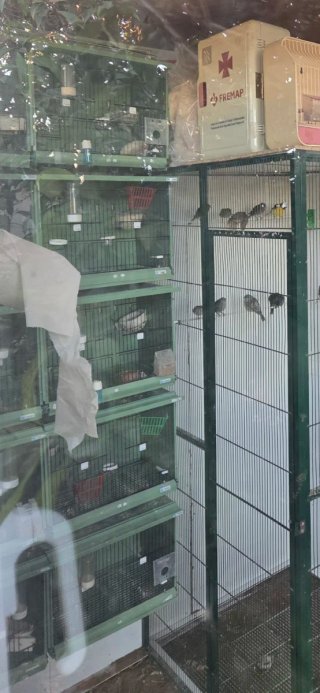 Módulo Jaulas Cría 90cm
