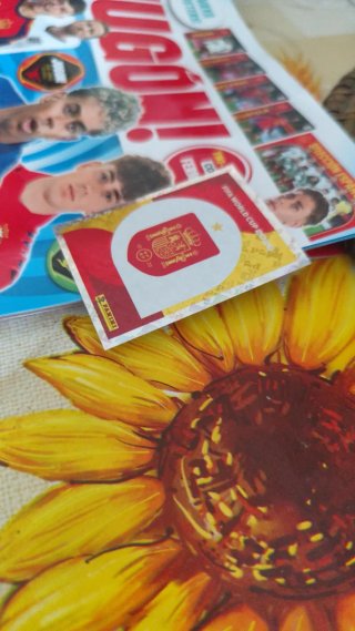 Cromos Mundial Panini