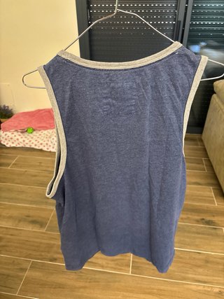 Camiseta Hollister azul y gris