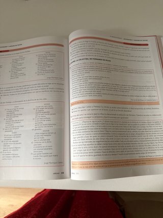 Lengua castellana y literatura 1, Le Bachillerato