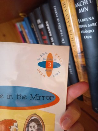 The Face in the Mirror