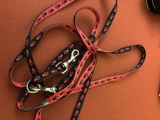 Guinzaglio doppio addestramento cane