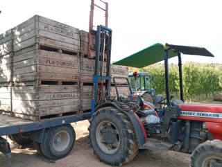 Elevador agrícola tipo toro marca Niubó.