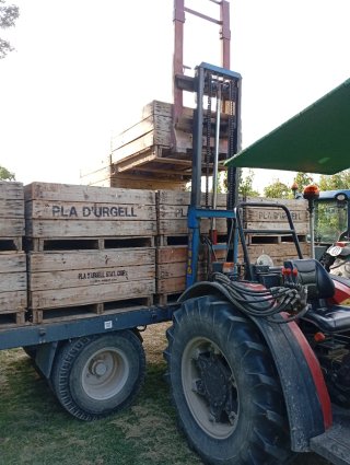 Elevador agrícola tipo toro marca Niubó.