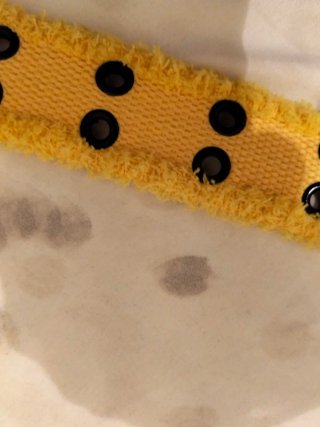 Cinturón Taxi Moda Suiza Amarillo y Negro